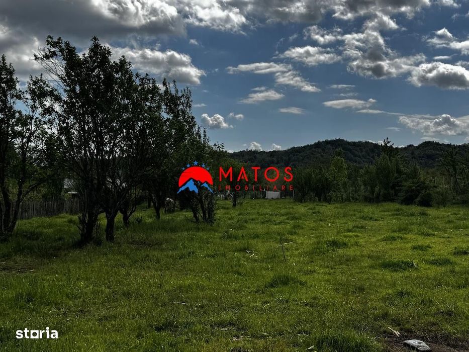 Teren construibil 5.164 mp | Brebu Megiesesc, Prahova | Dublu acces |