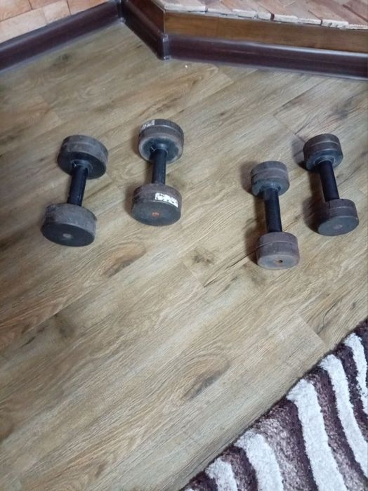 Штанги разных весов