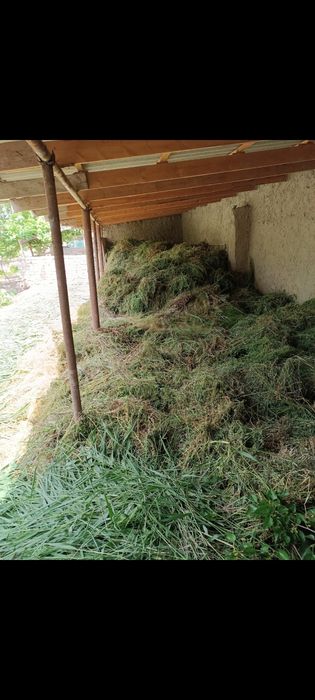 Беда таранг 3 телечка сотилади