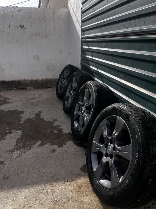 Сиена аяғы 235/19