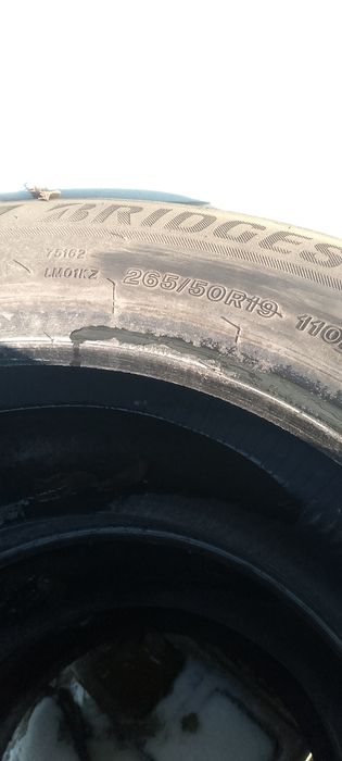 Зимняя баллон липучка