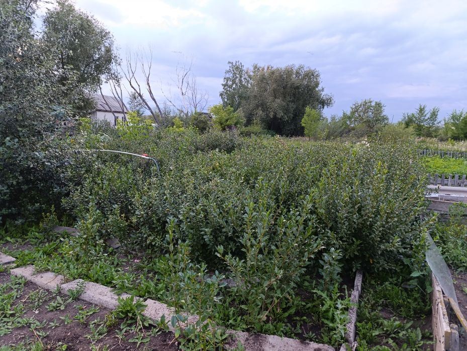 Продаётся дача на федоровке