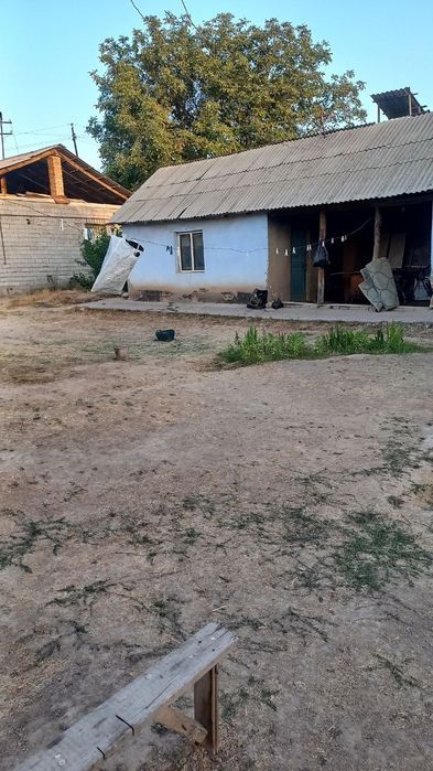 Yet arzonga tezda sotiladi