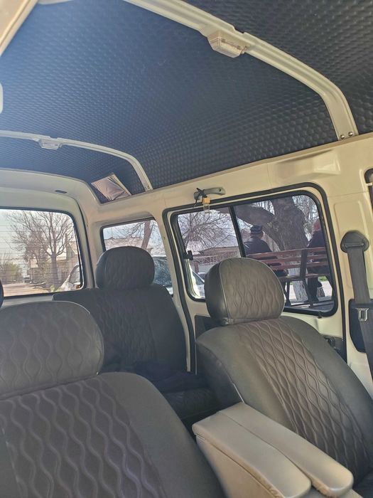 Damas 23-24 sotliadi