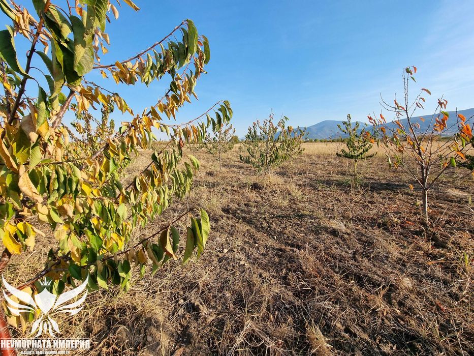 Продава се Земеделски имот в Асеновград -  кв.м за 3009 €/дка - Снимка #13