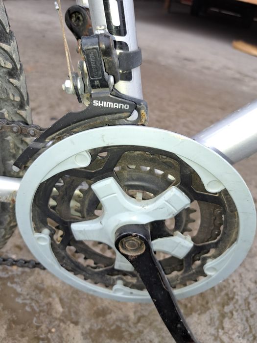 Велеспид пашти янгидай россиядан келган