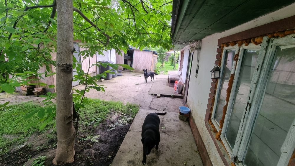 Teren/Casa de vanzare zona Aviatiei