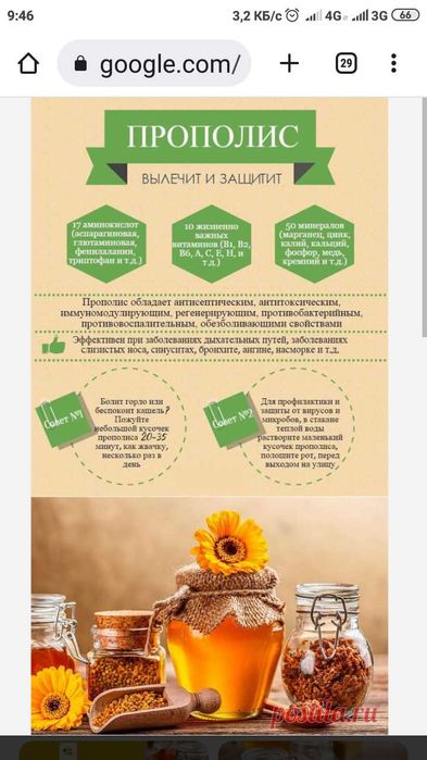 Продам Прополис пчелиный