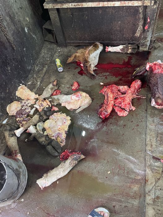 Собачий корм иттын тамагы