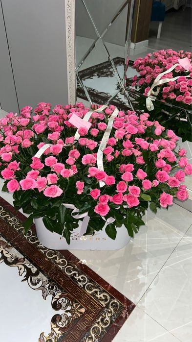 Цветок кустовая роза