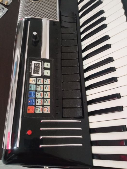 Acordeon cu midi fără burduf și bași preț 3000lei
