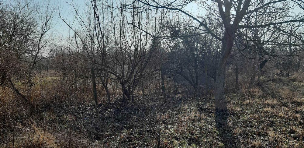 Продава се Парцел в Търговище, Вилна зона - 1050 кв.м за 11 €/кв.м - Снимка #2