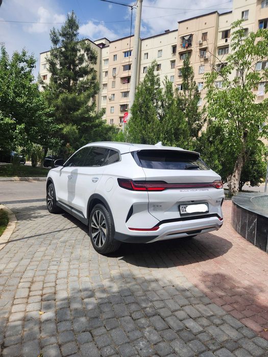 BYD Chempion EV, 2024 йил