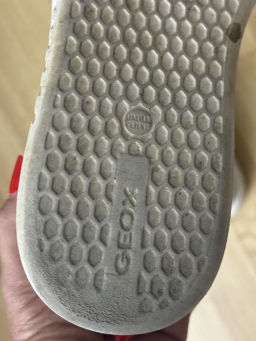 Sneakers Geox mar 37