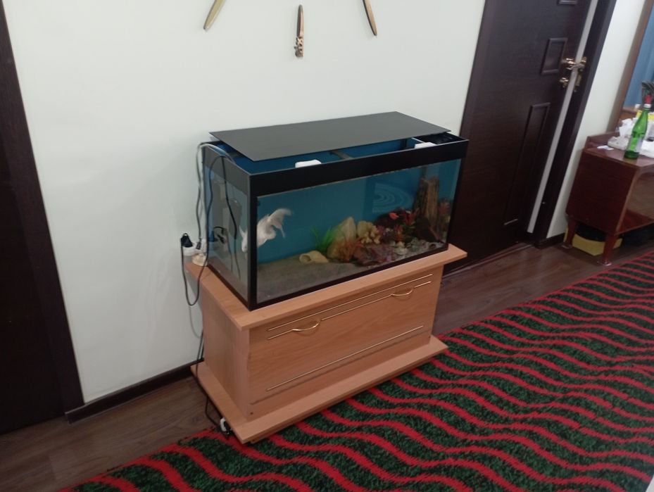 Akvarium sotiladi 80 litr tumbasi bn