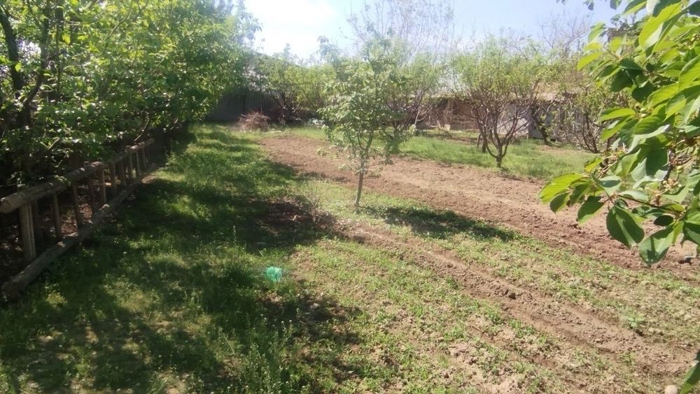 Продается Земля. Хасанбой Кенсой