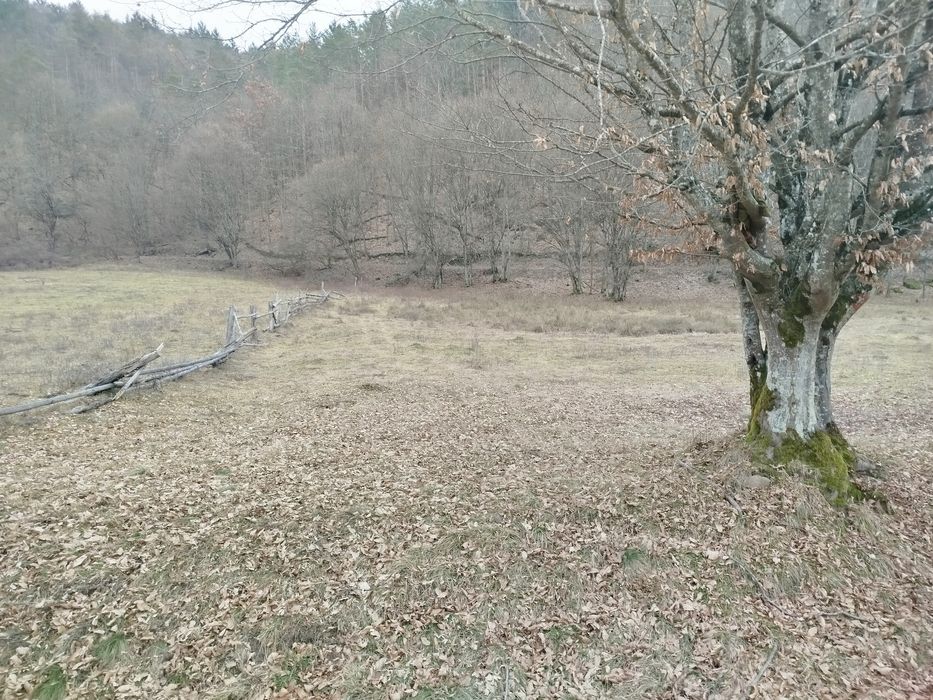 Loc pentru casa de vacanta