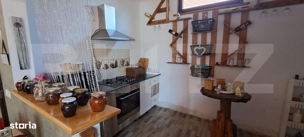 Conac modern cu sauna, ciubar si sera, 1.500 mp gradina – sat Dridif