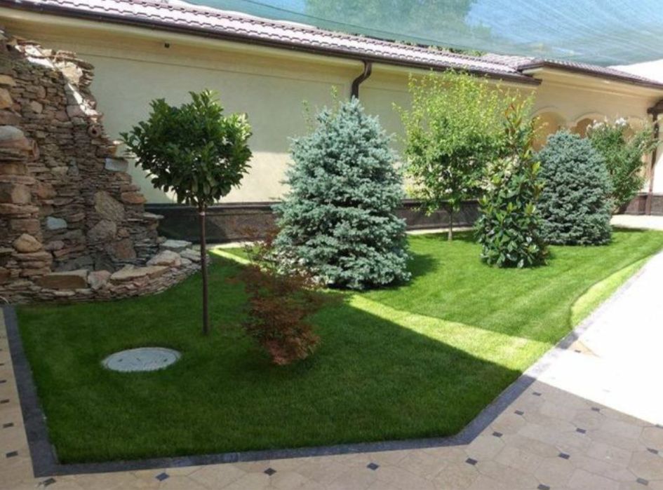 Газон вышено качества