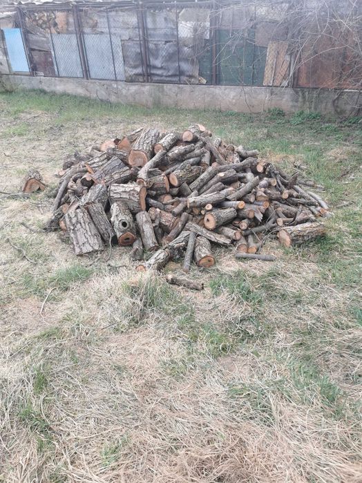 Lemne prun și mar  pentru afumat. sau pentru foc. 200ron/ms
