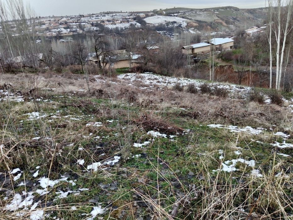 Daromadli Yer Meydoni