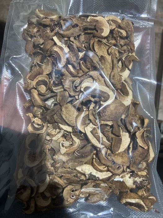 Hribi uscati de padure.