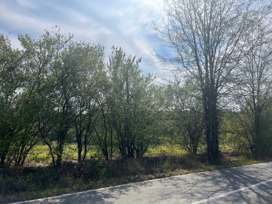 Vand Teren Snagov (Lipia) la 15 min de Bucuresti