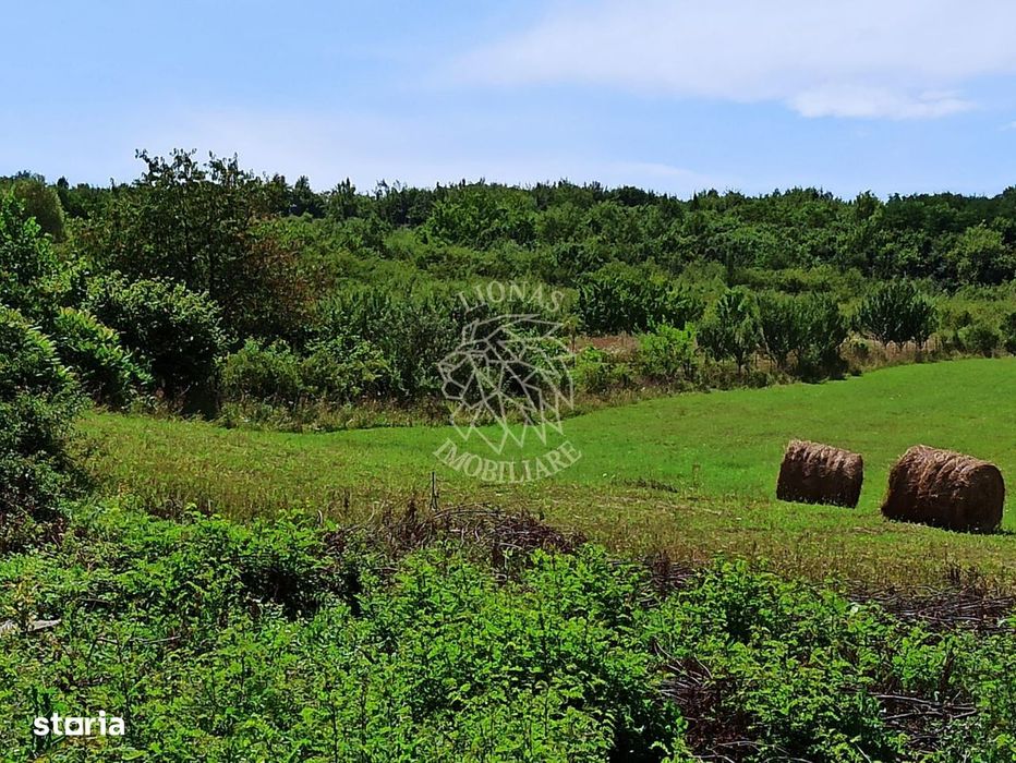 Parcele teren 4038 mp - Parcelabil - Zona Valea Stanelor
