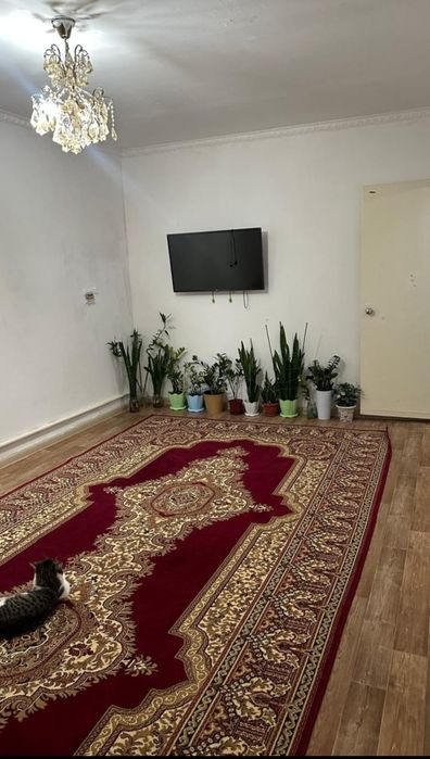 Шардара пәтер сатылады