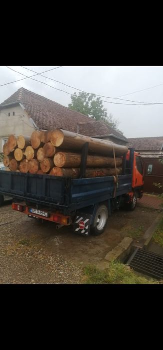 Lemn de foc la  esenta tare