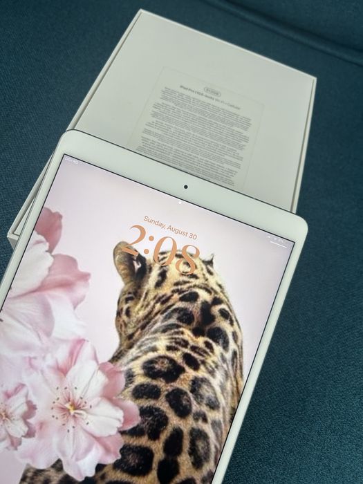 iPad Pro 10.5” 512GB Wi-Fi + Cellular Silver | Impecabil + Cutie
