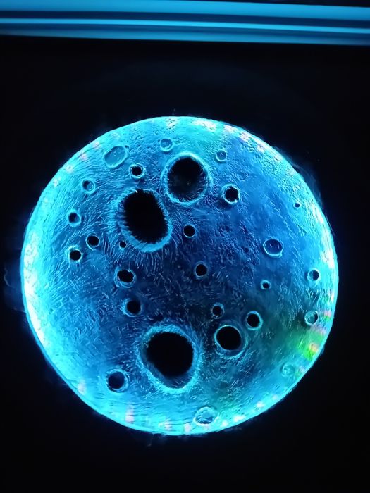 Luna 3d de perete,tavan...