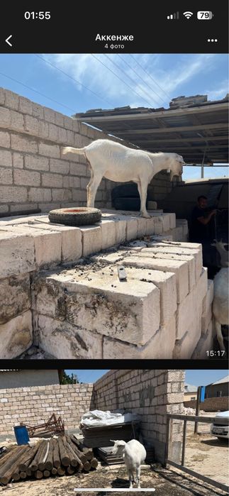 Решотка бар 20 шт ограждения