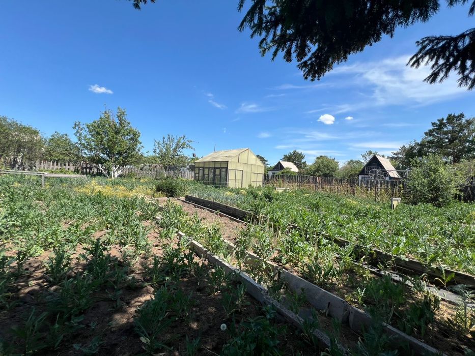 Продам дачу оптимист сектор б шестой ряд