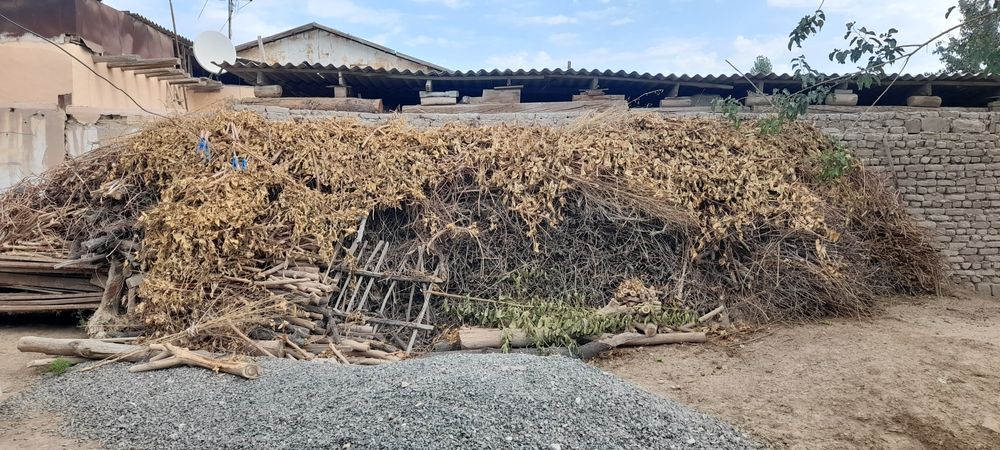 Отын сатылады тайын шауып майдаланган