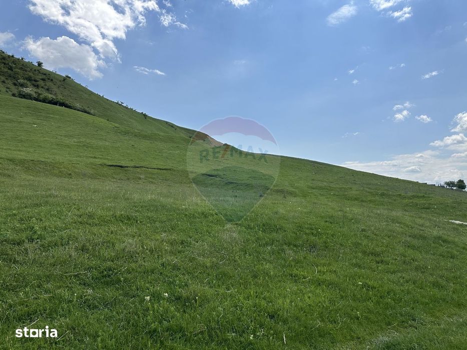 Teren 1,000mp Garcina / Strada Punct Marian