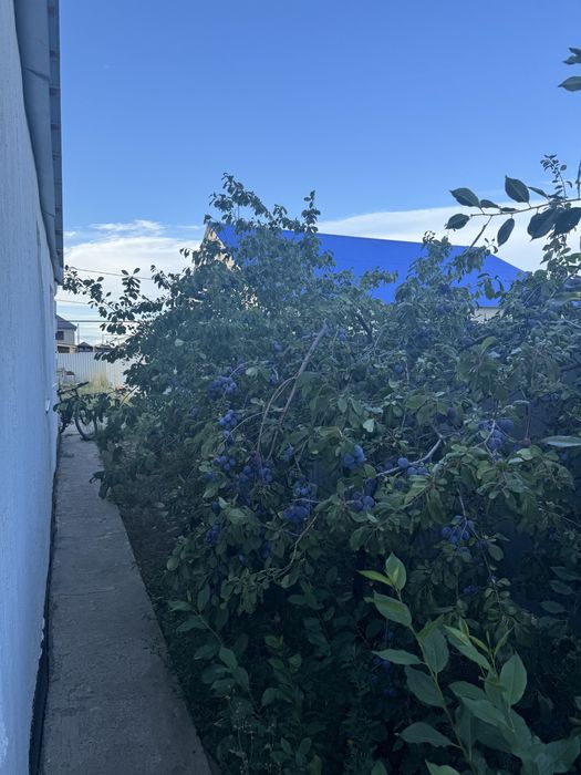 Продам частный дом. Срочно!