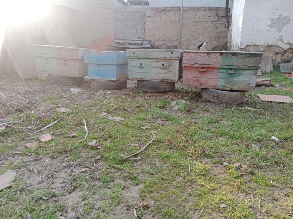 Продам улики для пчёл