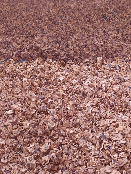 Продам сухофрукты