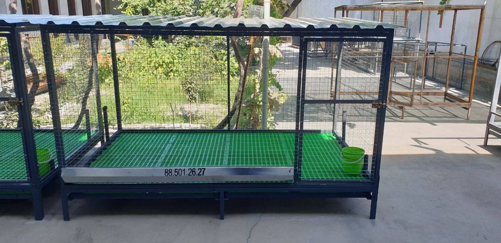 5 yulduzli TOVUQ Kataklar