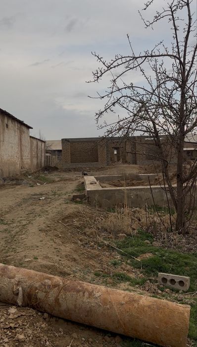 Qarshi shahar Uchastka 13 sutihli