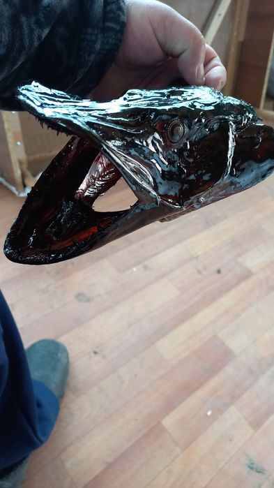 Продам макет щучиия голова