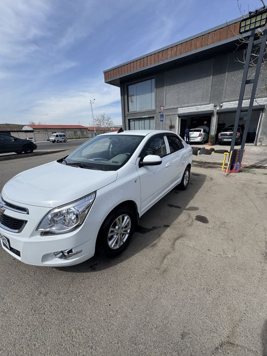 Cobalt oq Avtamat 2023