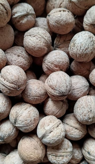 Грецкий орех высший сорт.