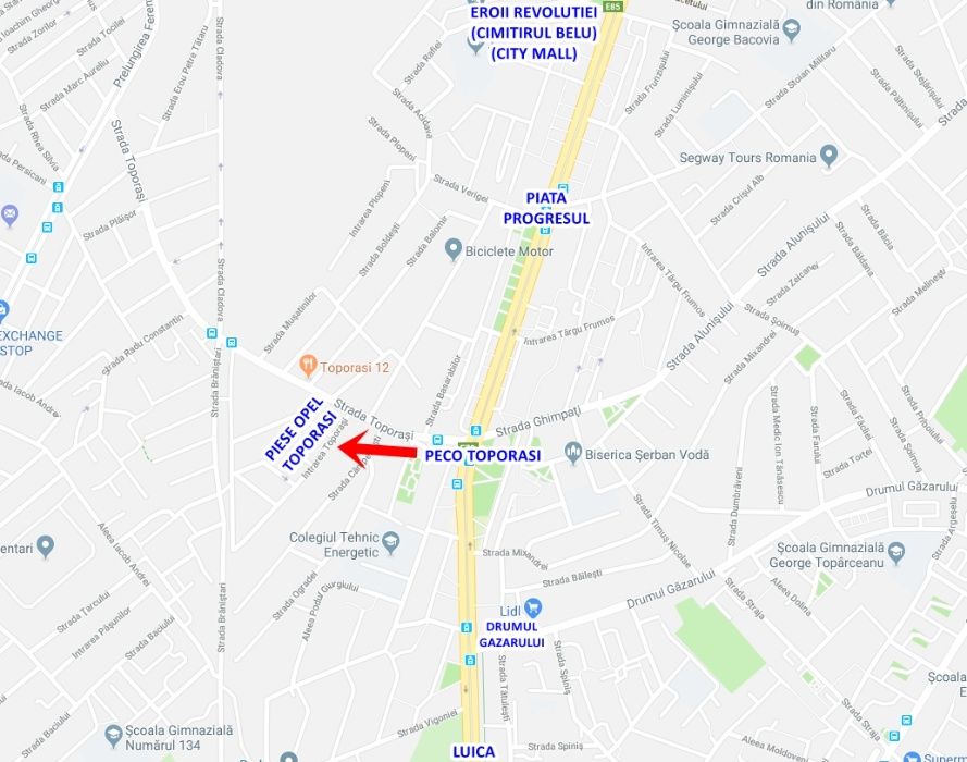 Capota motor Opel Insignia 200 lei