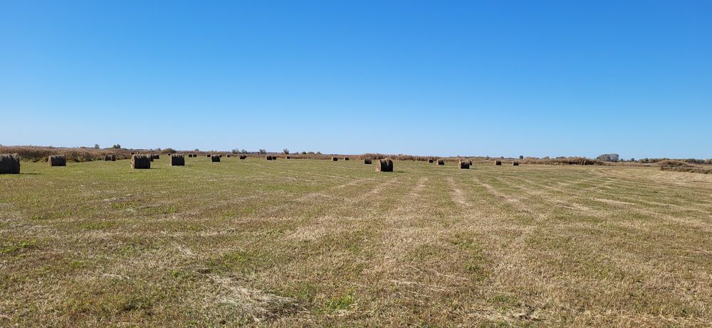 Сено в рулоне луговое разнотравье