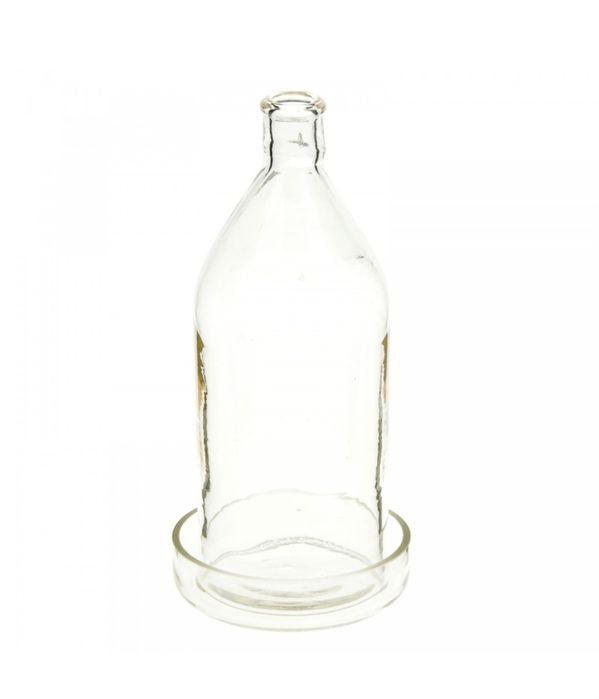 Ваза мини флорариум