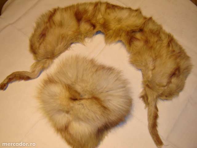 Vand gulere si toca polara,argintie,bizam si nurci