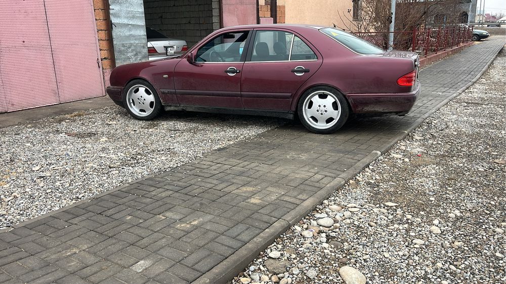 Титан диска R18 аргинал