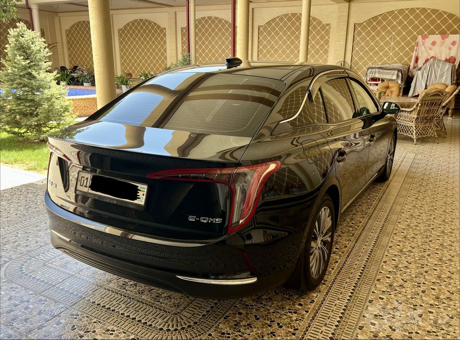 Hongqi  E-QM5 Kraska Tozza 100%